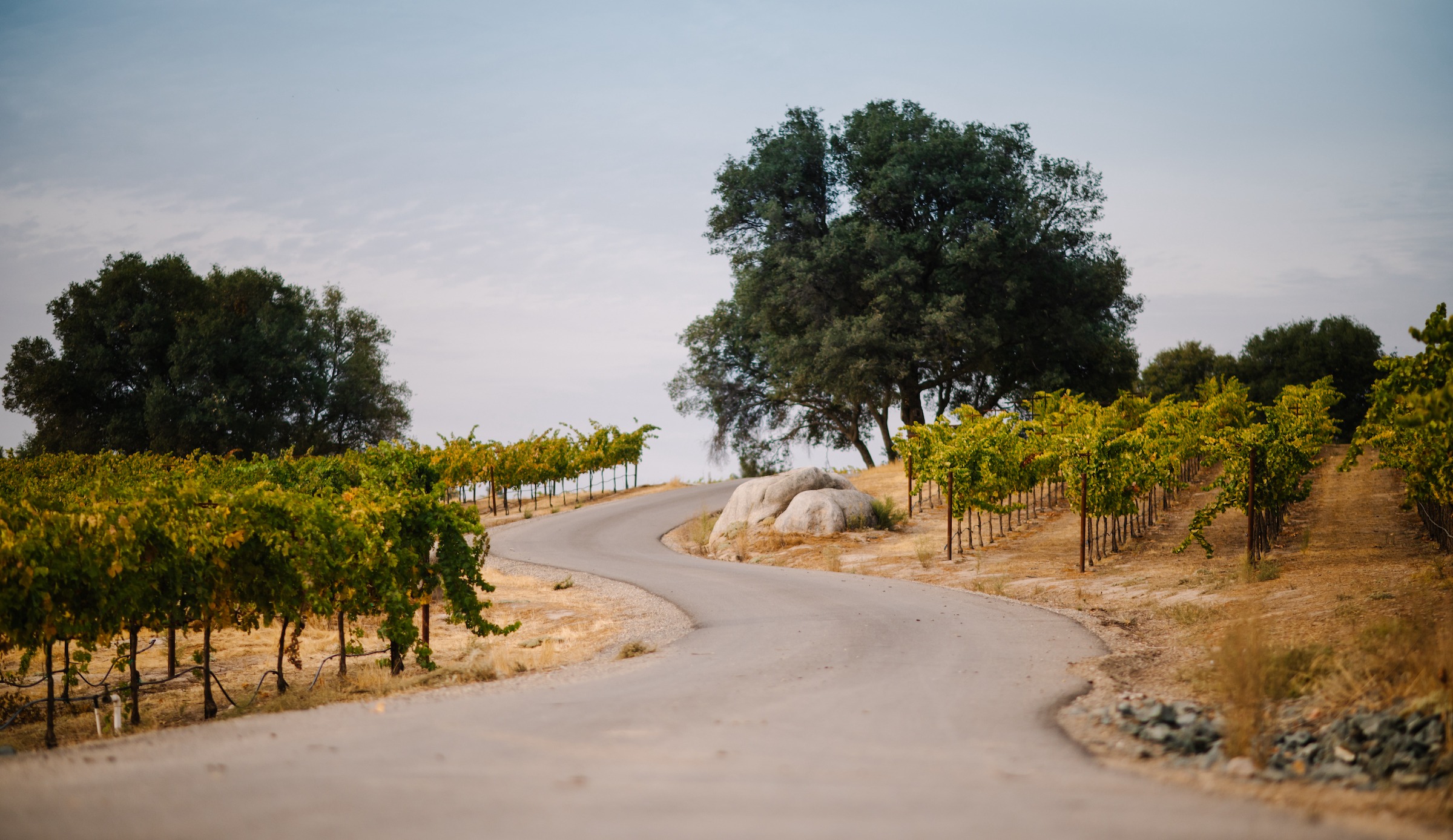 Twin Rocks winery road