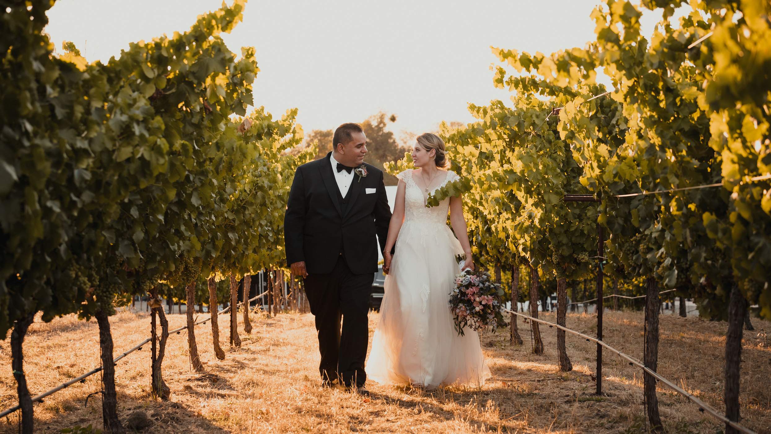 Vineyard Twin Rocks Winery Wedding